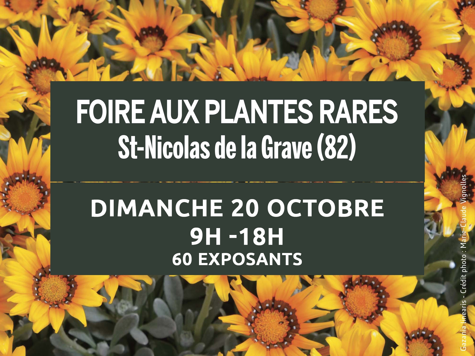 Prochaine foire aux plantes rares le dimanche 20 octobre 2024