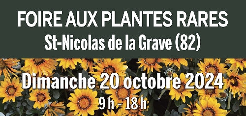 20 octobre 2024 à St Nicolas de la Grave, foire d'automne