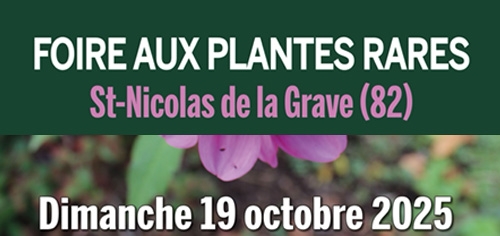 25 mai 2025 à St Nicolas de la Grave, foire aux plantes