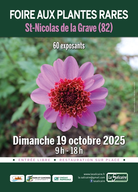 Foire aux plantes octobre 2025