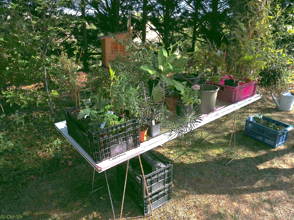 Bourse aux plantes 2026
